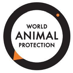 world animal protection scandal|World Animal Protection paid out more than £230,000 in salary and.